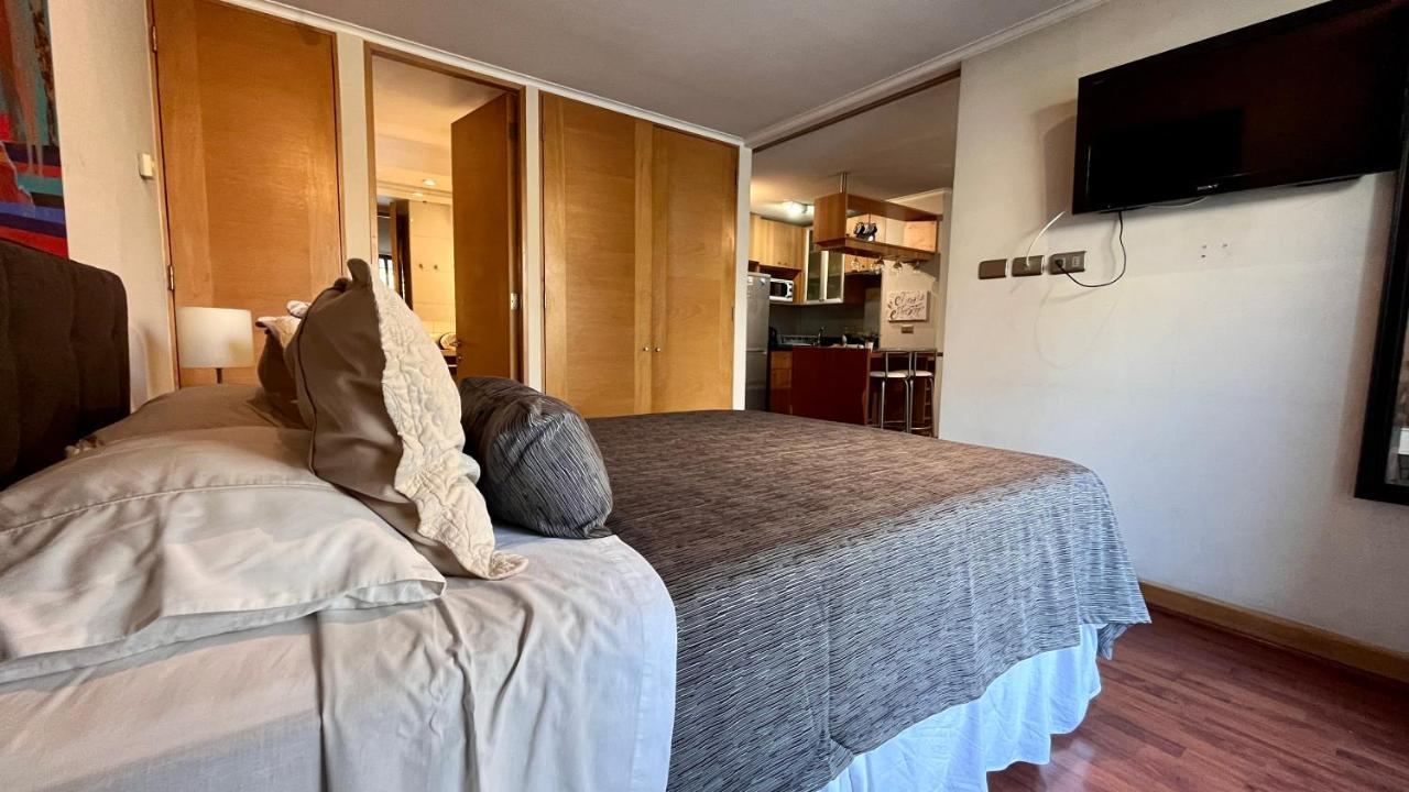 Apartamento Centro Leones Santiago